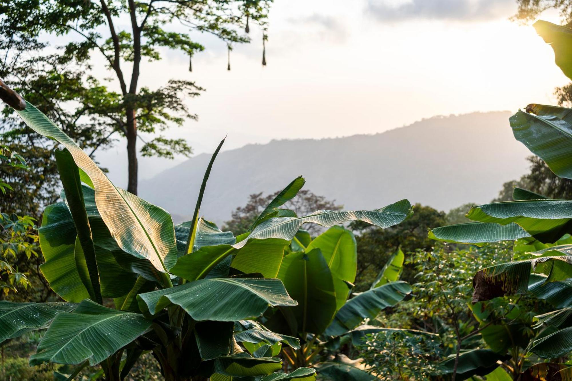 Mano Verde Minca Ngoại thất bức ảnh